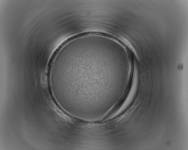 X0000090701068200707271103