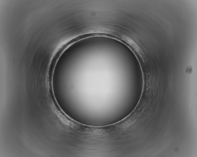 X0000090701072200707271103