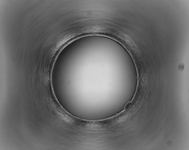 X0000090701073200707271103