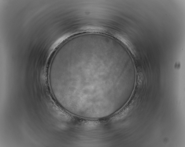 X0000090701074200707271103