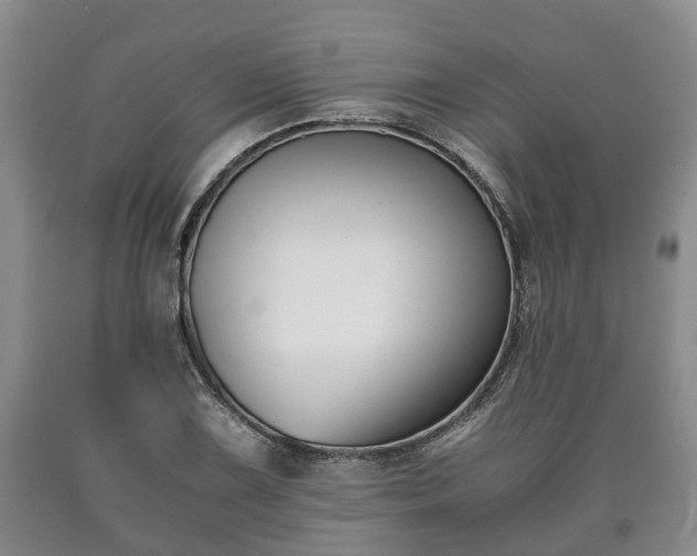 X0000090701075200707271103