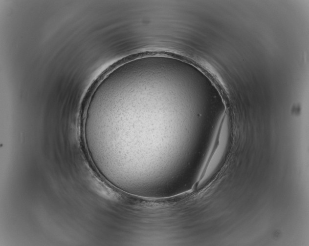 X0000090701076200707271103