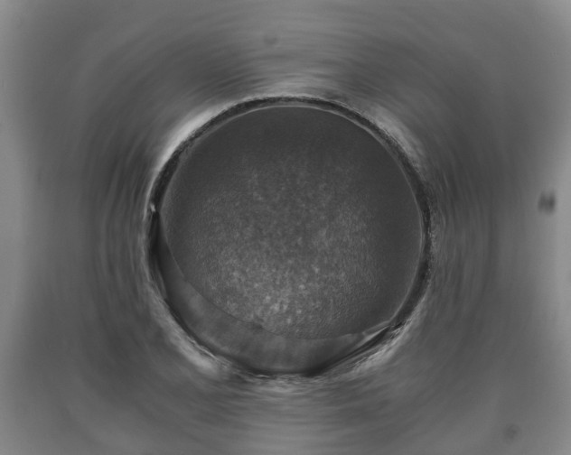 X0000090701077200707271103