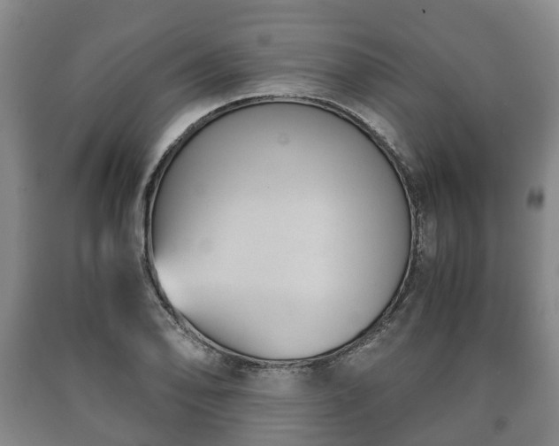 X0000090701078200707271103