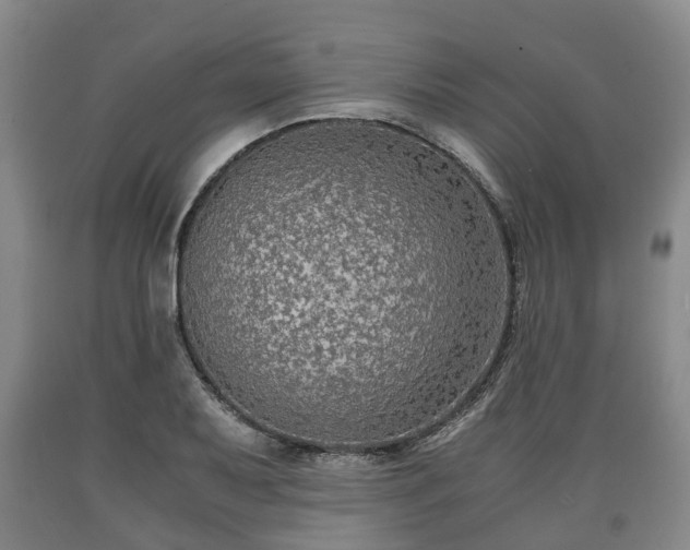 X0000090701079200707271103