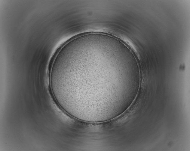 X0000090701080200707271103