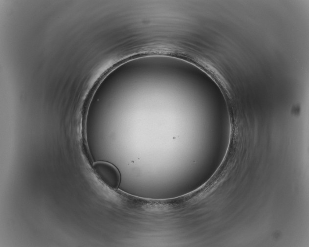 X0000090701083200707271103