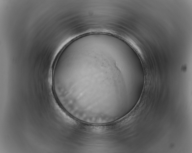 X0000090701084200707271103