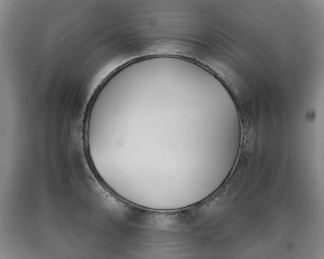 X0000090701086200707271103