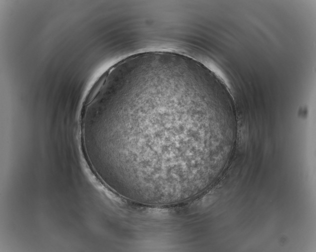 X0000090701088200707271103