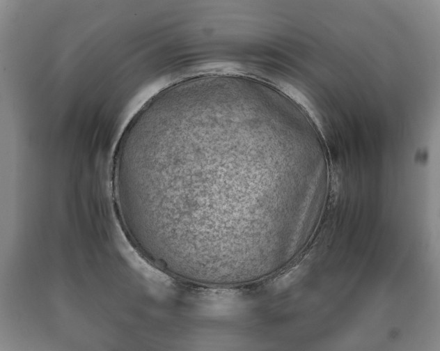 X0000090701090200707271103