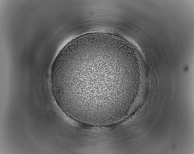 X0000090701091200707271103