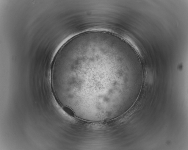 X0000090701092200707271103