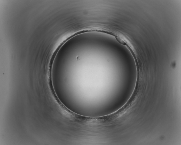 X0000090701093200707271103