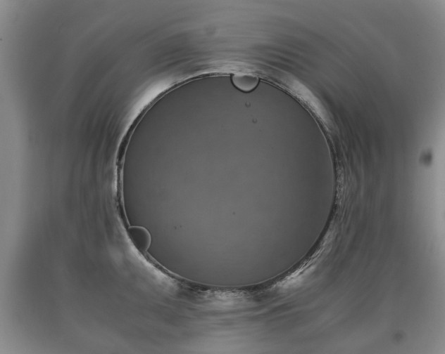 X0000090701095200707271103