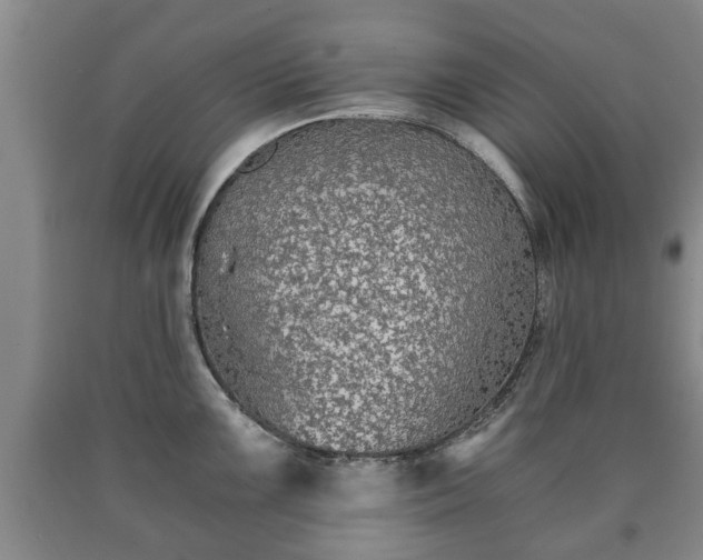 X0000090701099200707271103