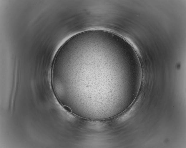 X0000090701100200707271103