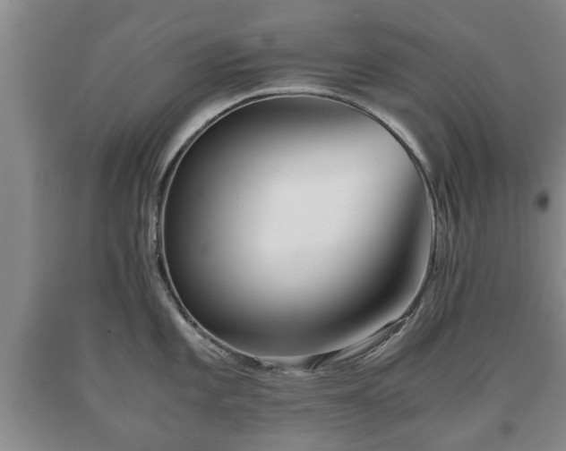 X0000090701101200707271103