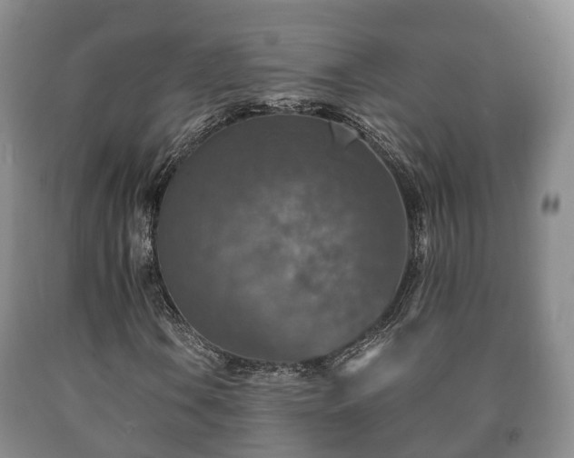 X0000090701106200707271102