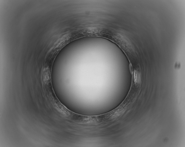 X0000090701107200707271102