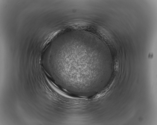 X0000090701108200707271102