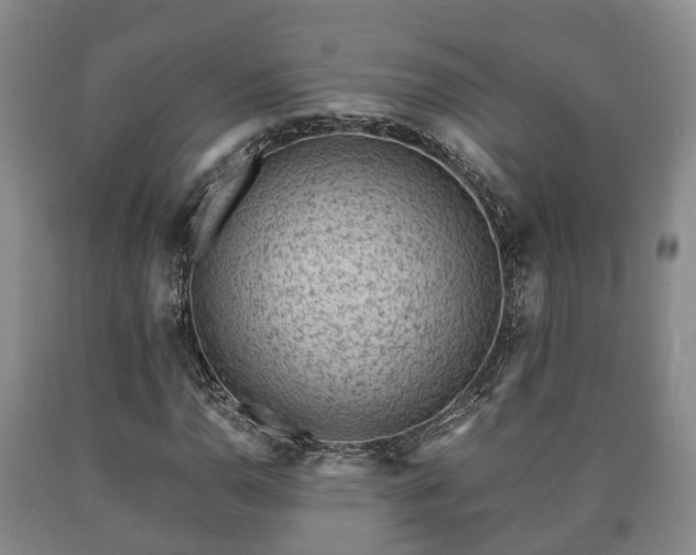 X0000090701110200707271102