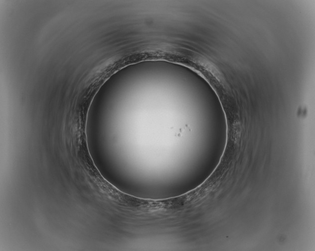 X0000090701111200707271102