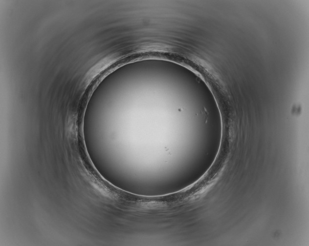 X0000090701113200707271102