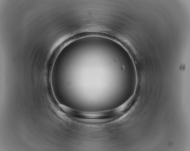 X0000090701114200707271102