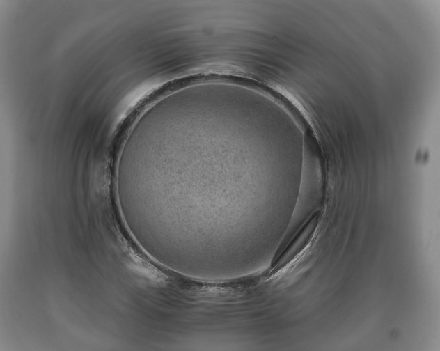 X0000090701115200707271102