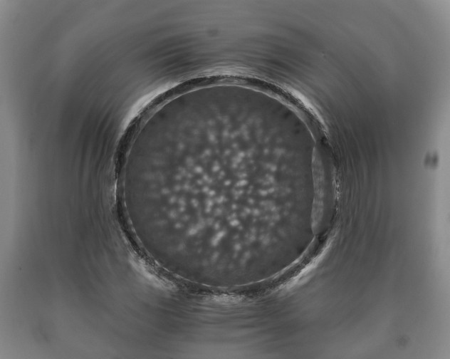 X0000090701117200707271102