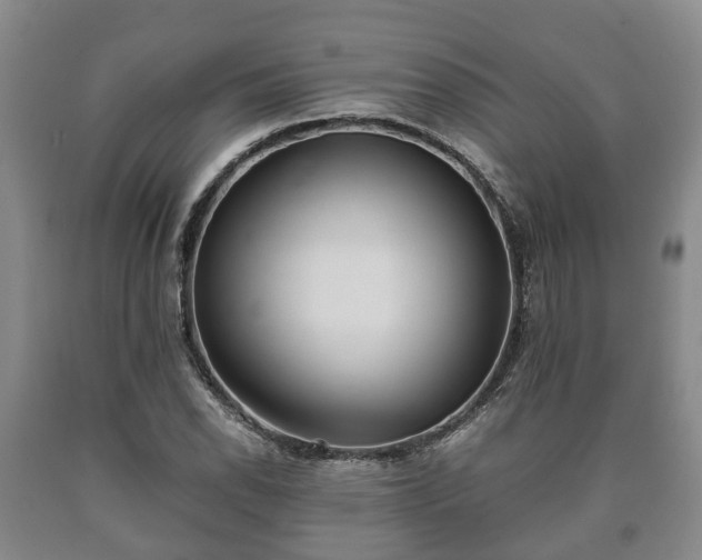 X0000090701118200707271102