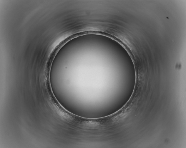 X0000090701119200707271102