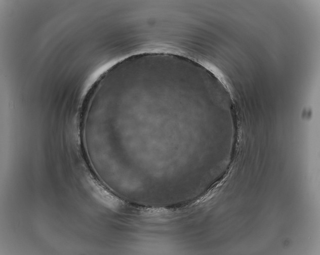 X0000090701120200707271102