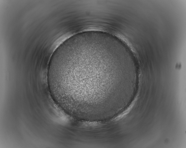 X0000090701121200707271102