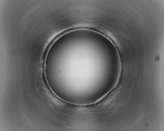 X0000090701124200707271102