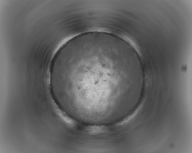 X0000090701125200707271102