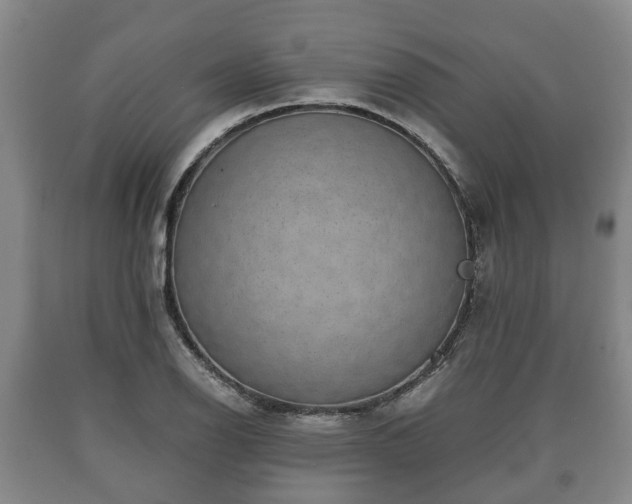 X0000090701126200707271102