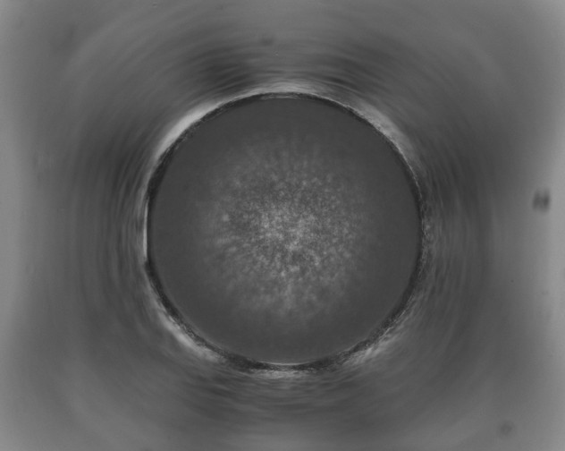 X0000090701127200707271102