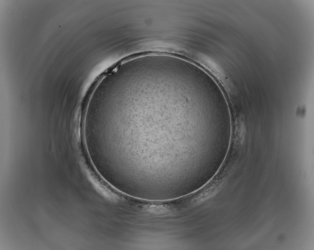 X0000090701128200707271102