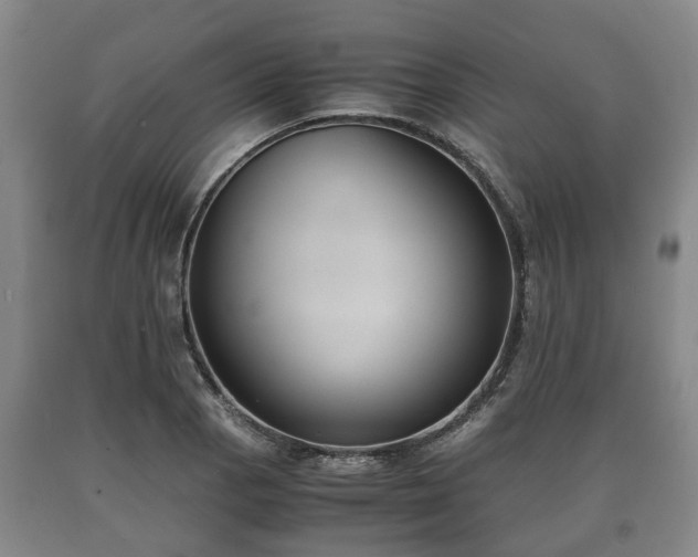 X0000090701129200707271102