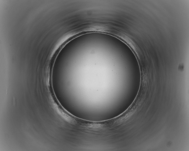 X0000090701131200707271103