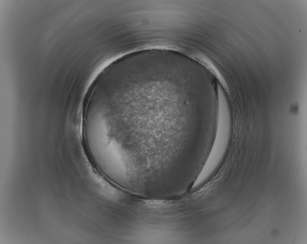 X0000090701132200707271103