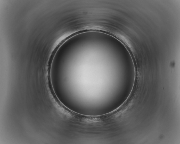 X0000090701133200707271103