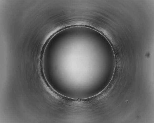 X0000090701134200707271103