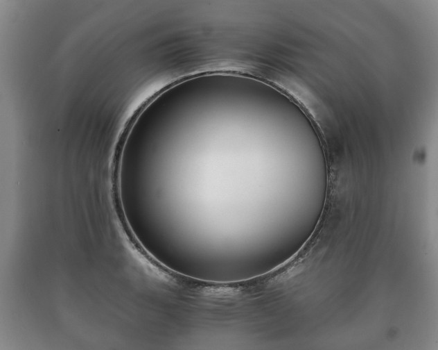 X0000090701135200707271103