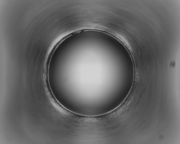 X0000090701136200707271103