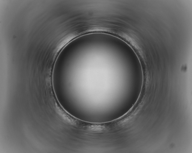 X0000090701137200707271103