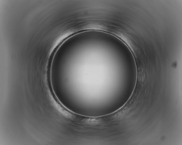 X0000090701139200707271103