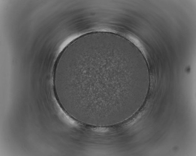 X0000090701141200707271103